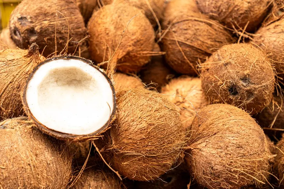 Botol minyak kelapa murni dan kelapa utuh di atas meja kayu